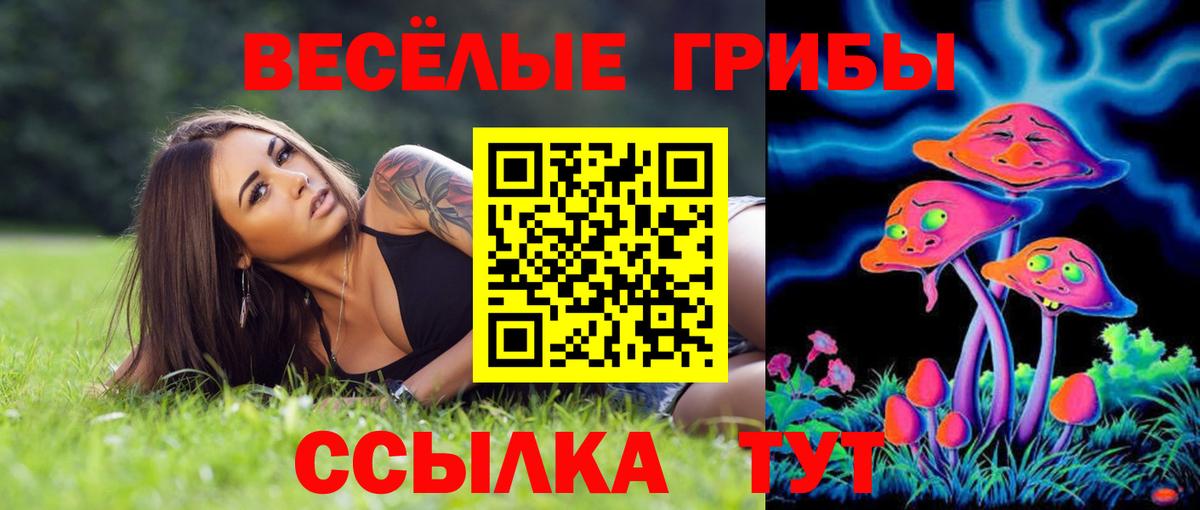 Галлюциногенные грибы GOLDEN TEACHER  наркота  Зерноград  Вход с VPN 